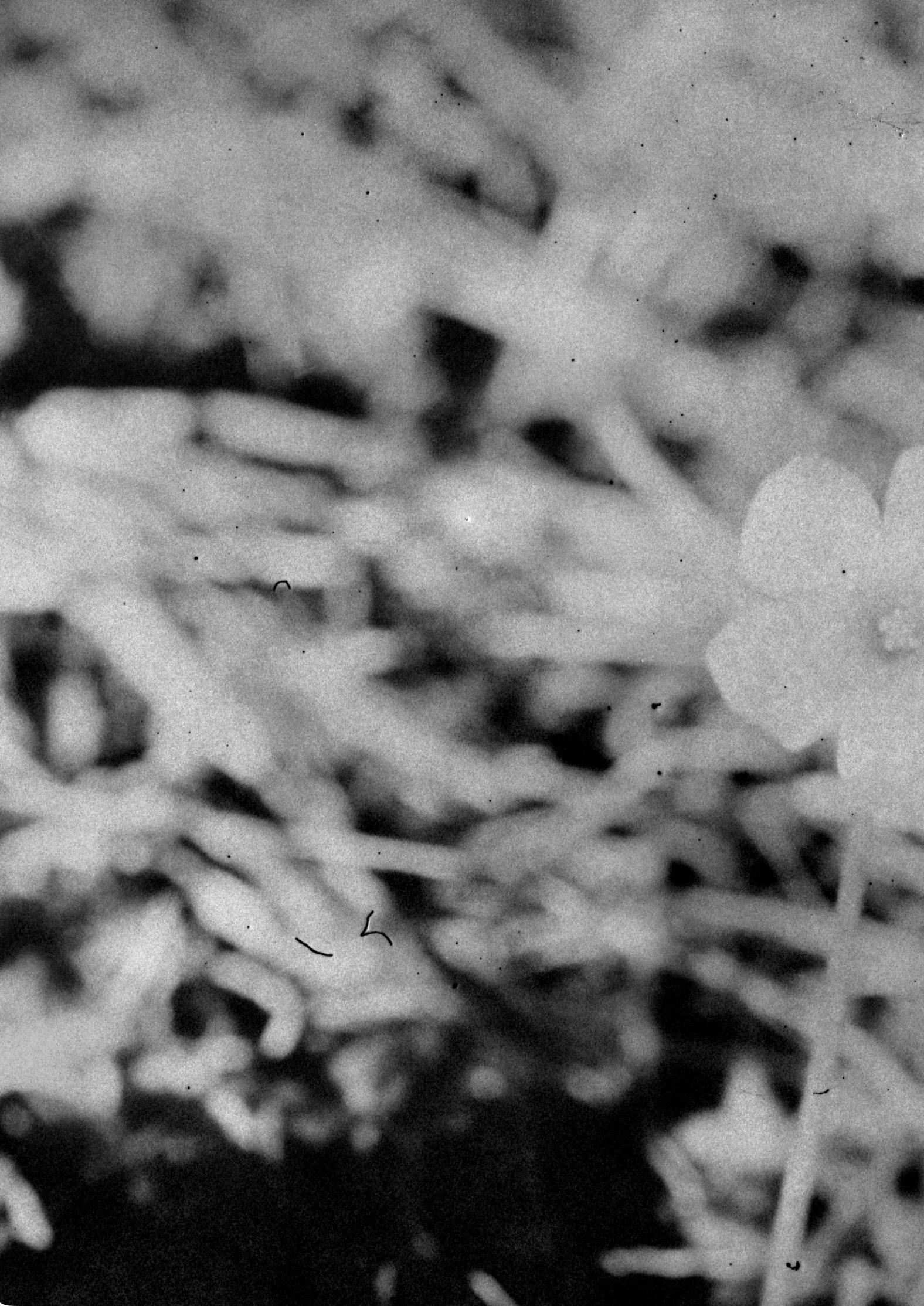 Not titled yet - Photograph by Daisuke Yokota