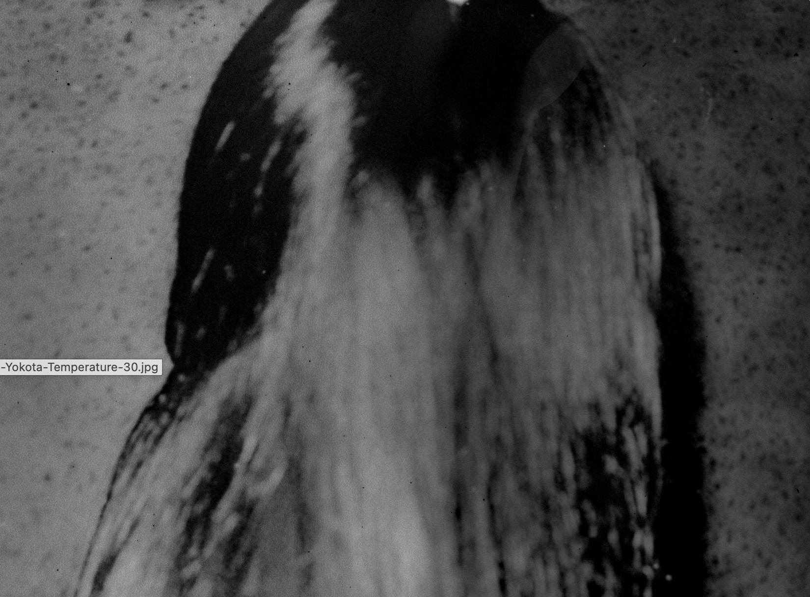 Not titled yet - Photograph by Daisuke Yokota