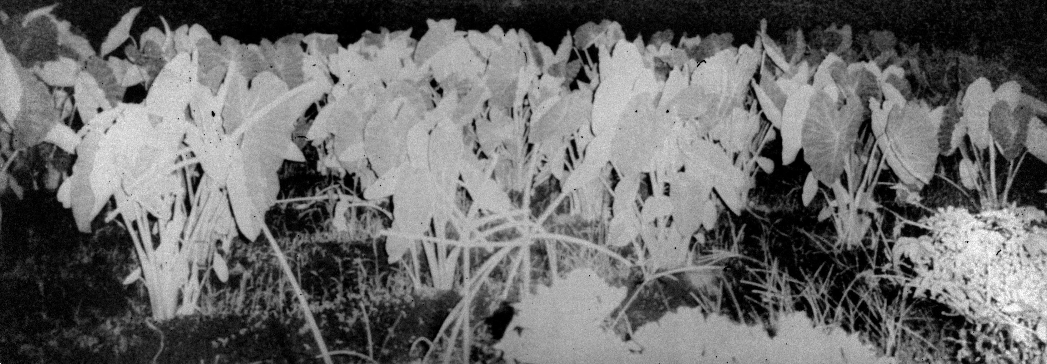 Not titled yet - Photograph by Daisuke Yokota