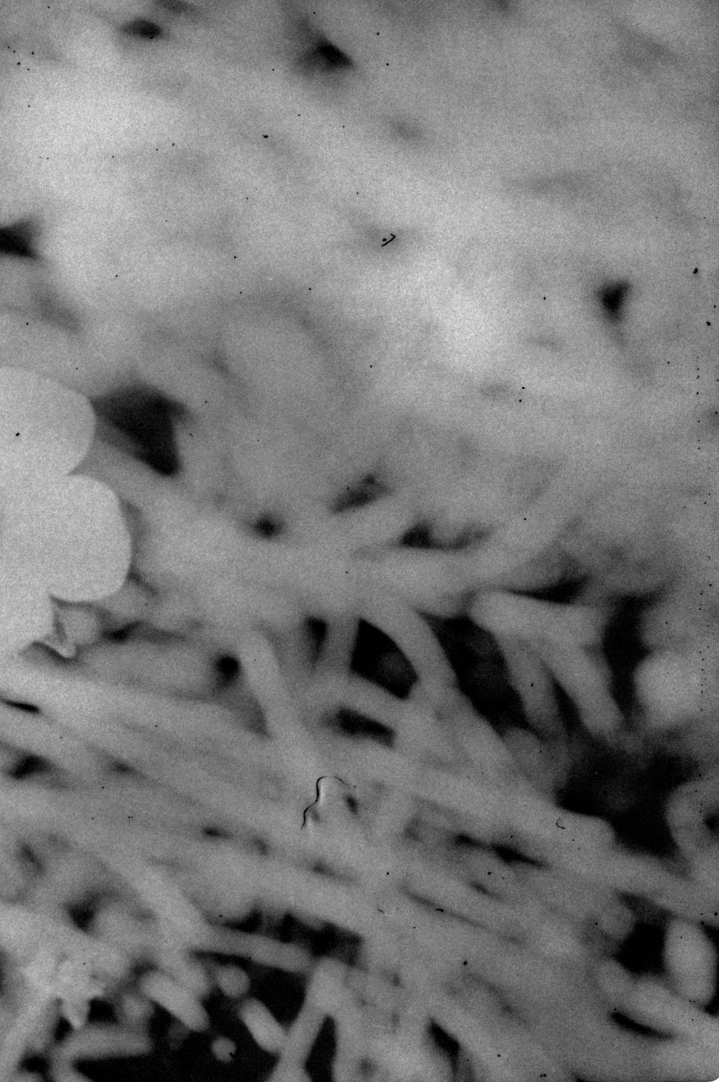 Not titled yet - Contemporary Photograph by Daisuke Yokota