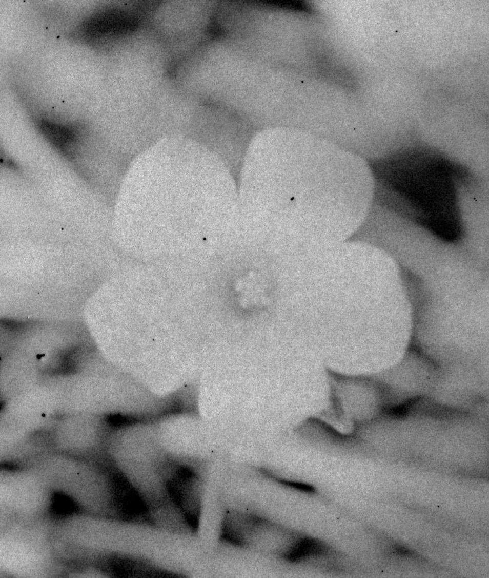 Not titled yet - Gray Black and White Photograph by Daisuke Yokota