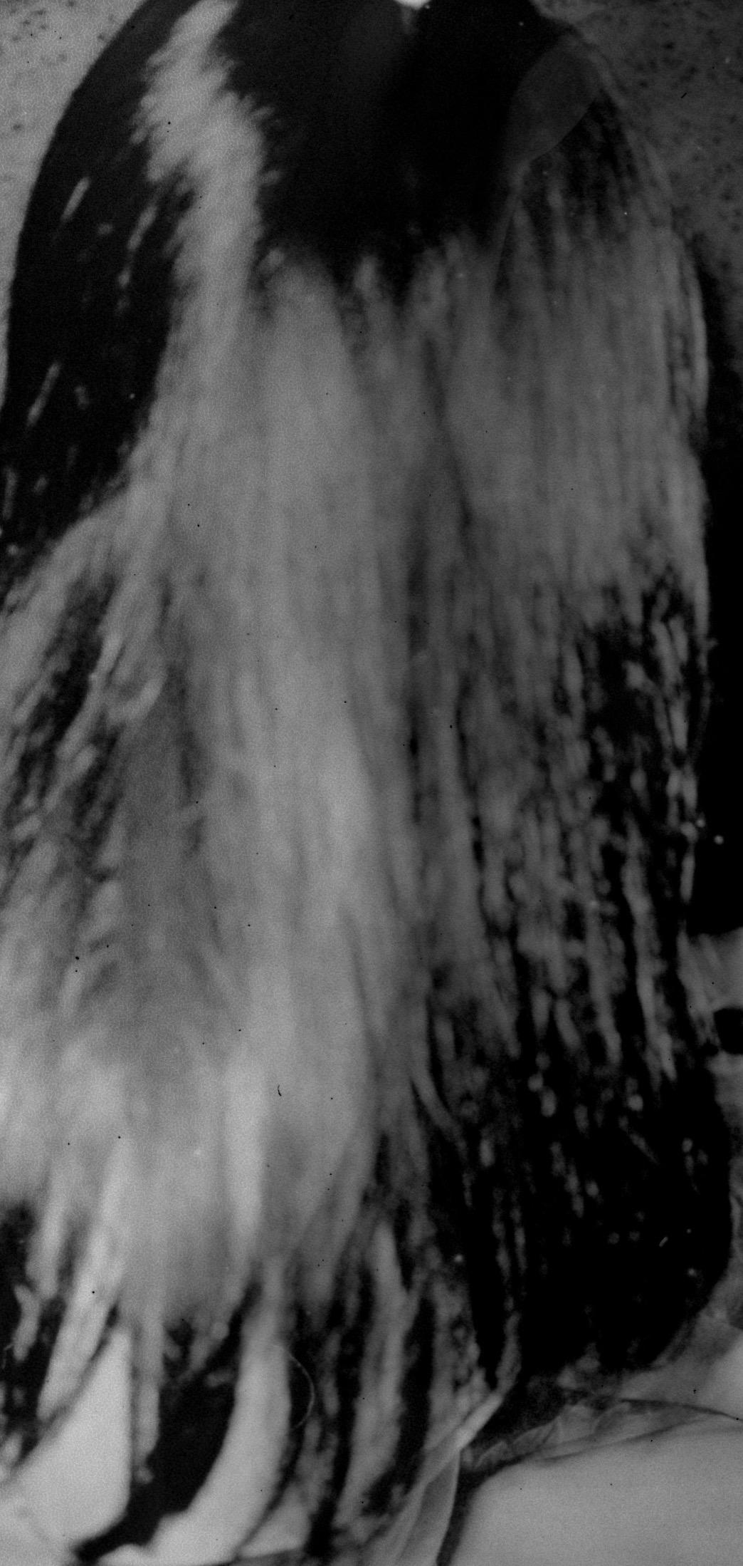 Not titled yet - Black Black and White Photograph by Daisuke Yokota