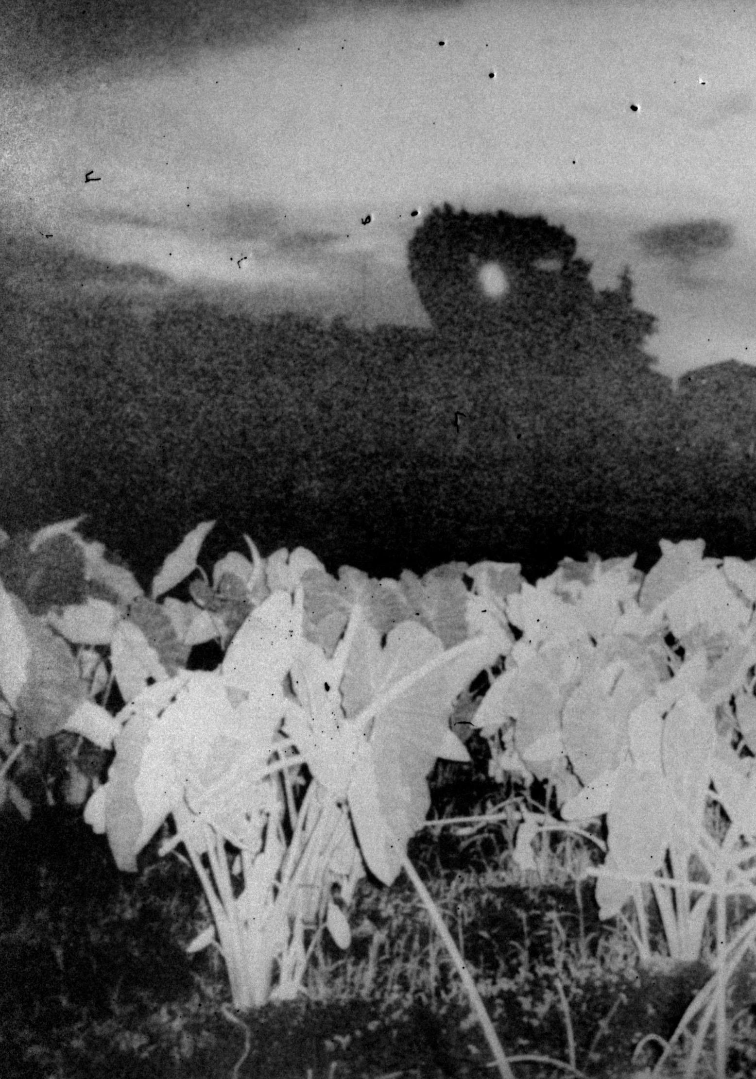 Not titled yet - Gray Black and White Photograph by Daisuke Yokota