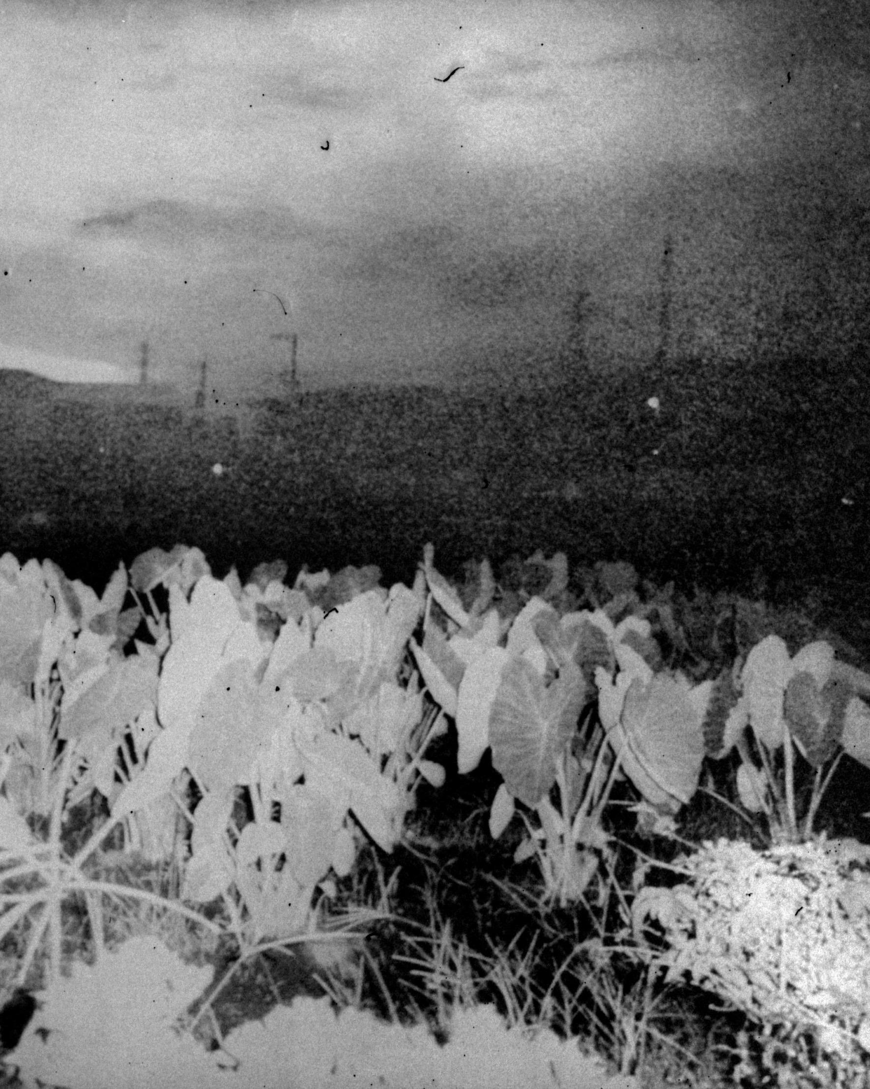 Daisuke YOKOTA (*1983, Japan)
Not titled yet, 2024
Archival Pigment Print
Comes with a signed artist label

Small
13 1/10 × 19 7/10 in / 33.24 × 50 cm
Edition of 6 + 2 AP's

Large
26 1/5 × 39 2/5 in / 66.49 × 100 cm
Edition of 4 + 2 AP's

Daisuke