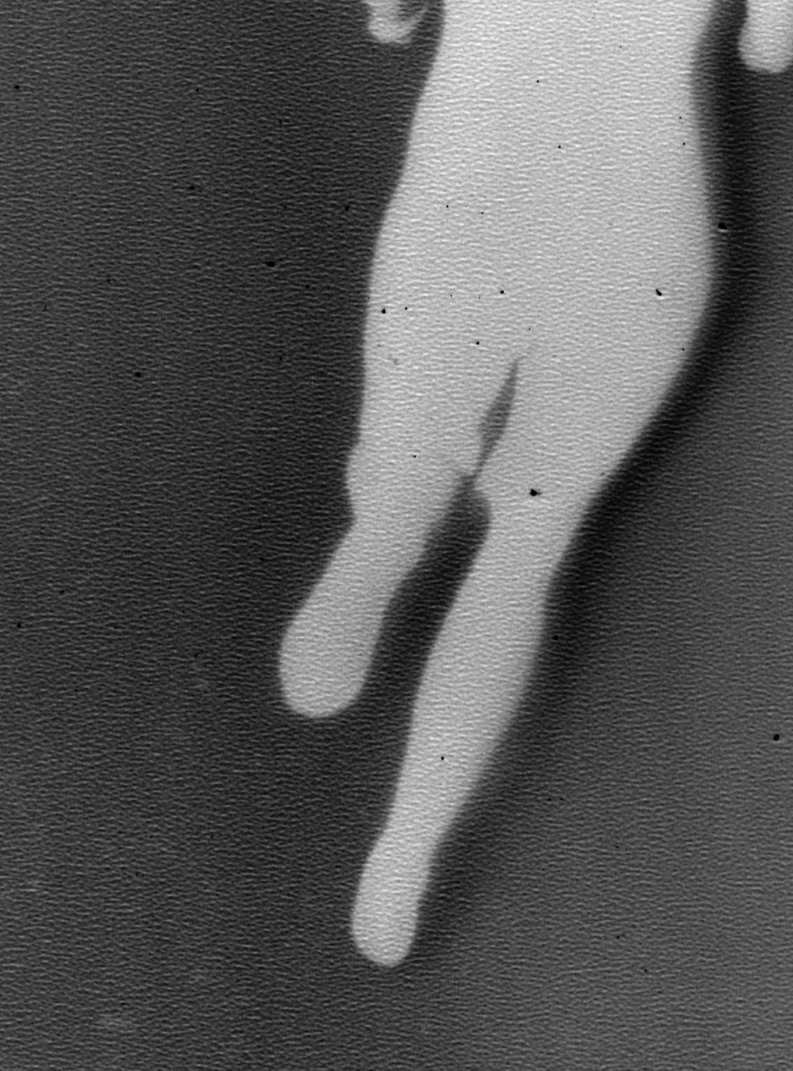 Ohne Titel #3 – Photograph von Daisuke Yokota