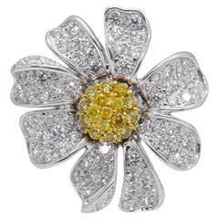 Brooches