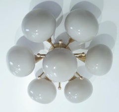 DAISY Flush Mount / Sconce by Fabio Ltd