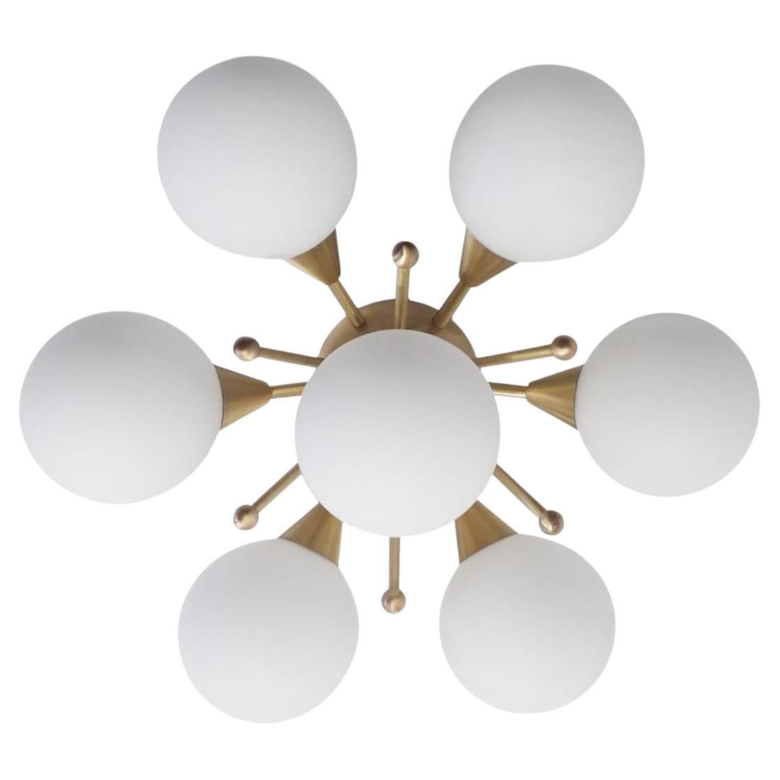 Daisy, lampada da incasso di Fabio Ltd