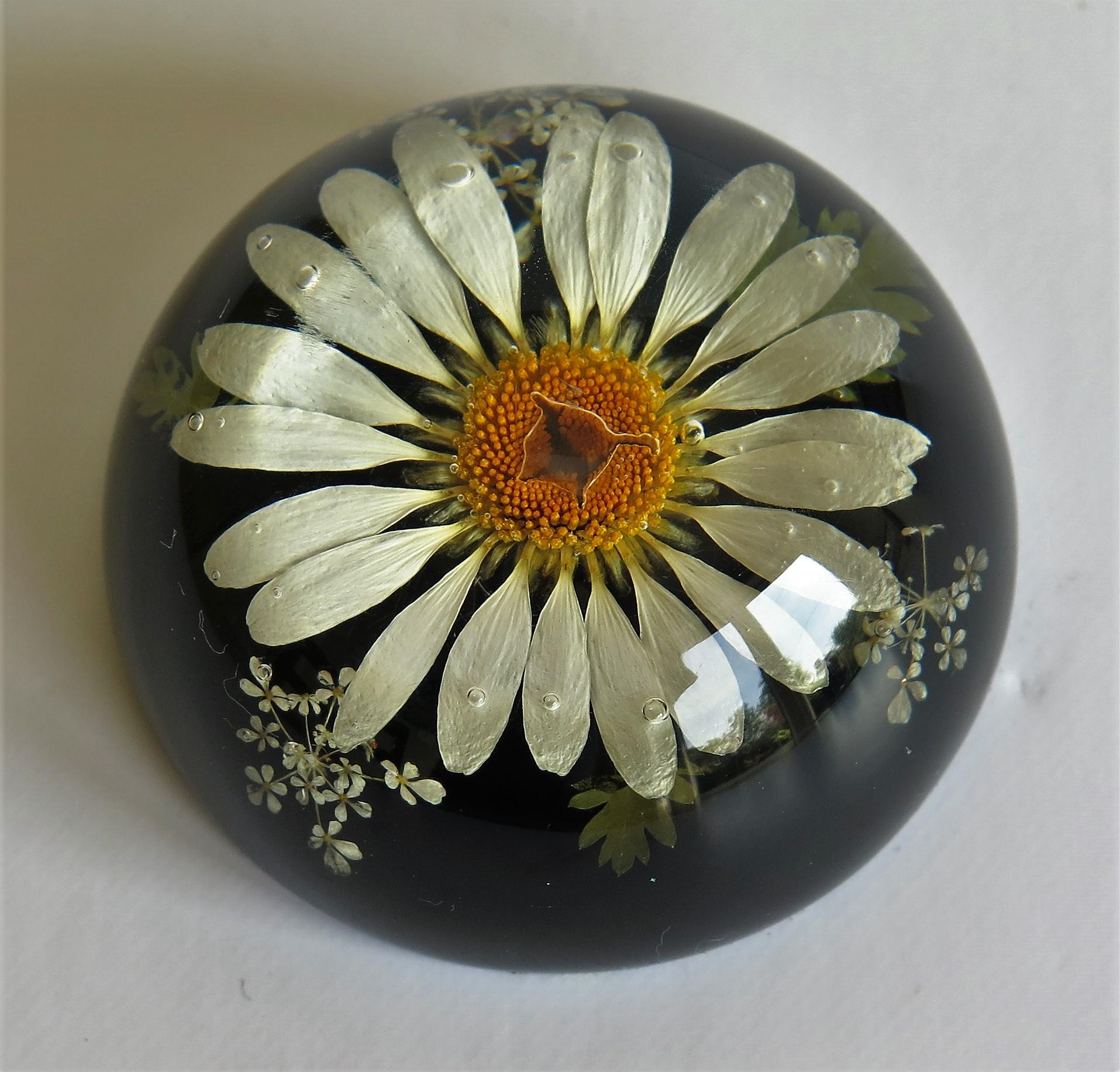 Daisy Paperweight Handmade with Real Flowers by Sarah Rogers, English 3