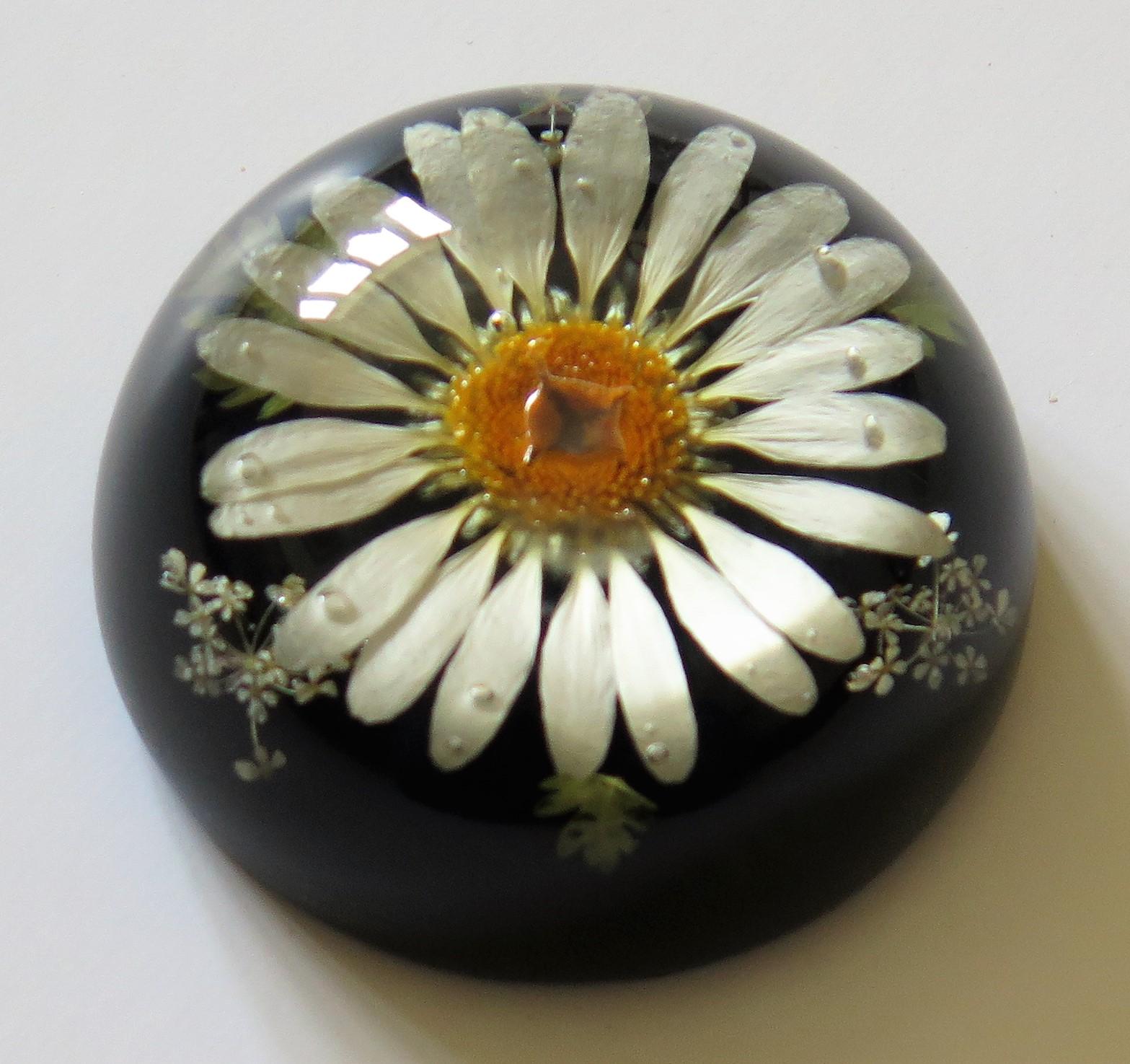 Daisy Paperweight Handmade with Real Flowers by Sarah Rogers, English 4
