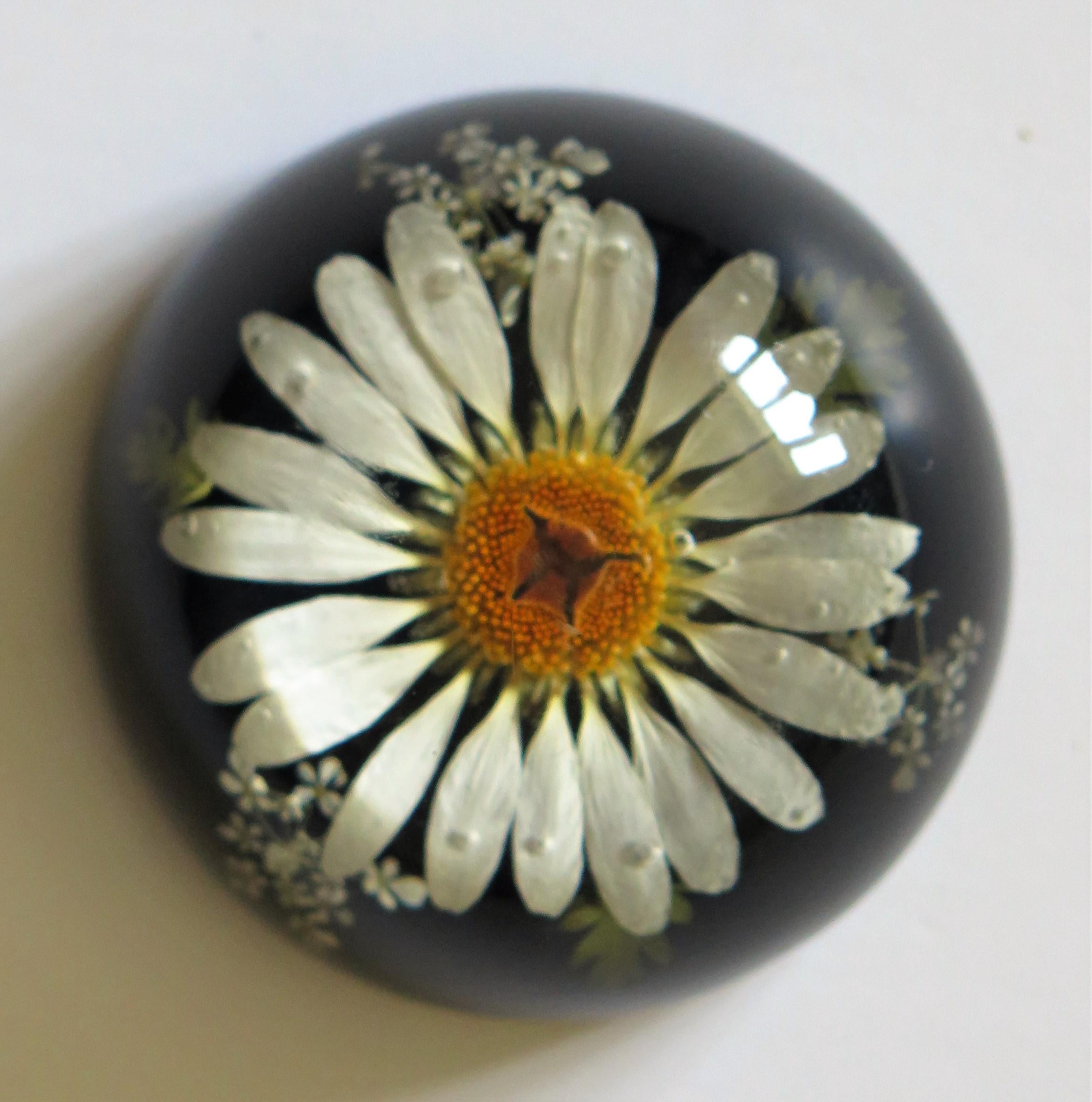Daisy Paperweight Handmade with Real Flowers by Sarah Rogers, English 7