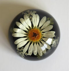 Daisy Paperweight Handmade with Real Flowers by Sarah Rogers, English