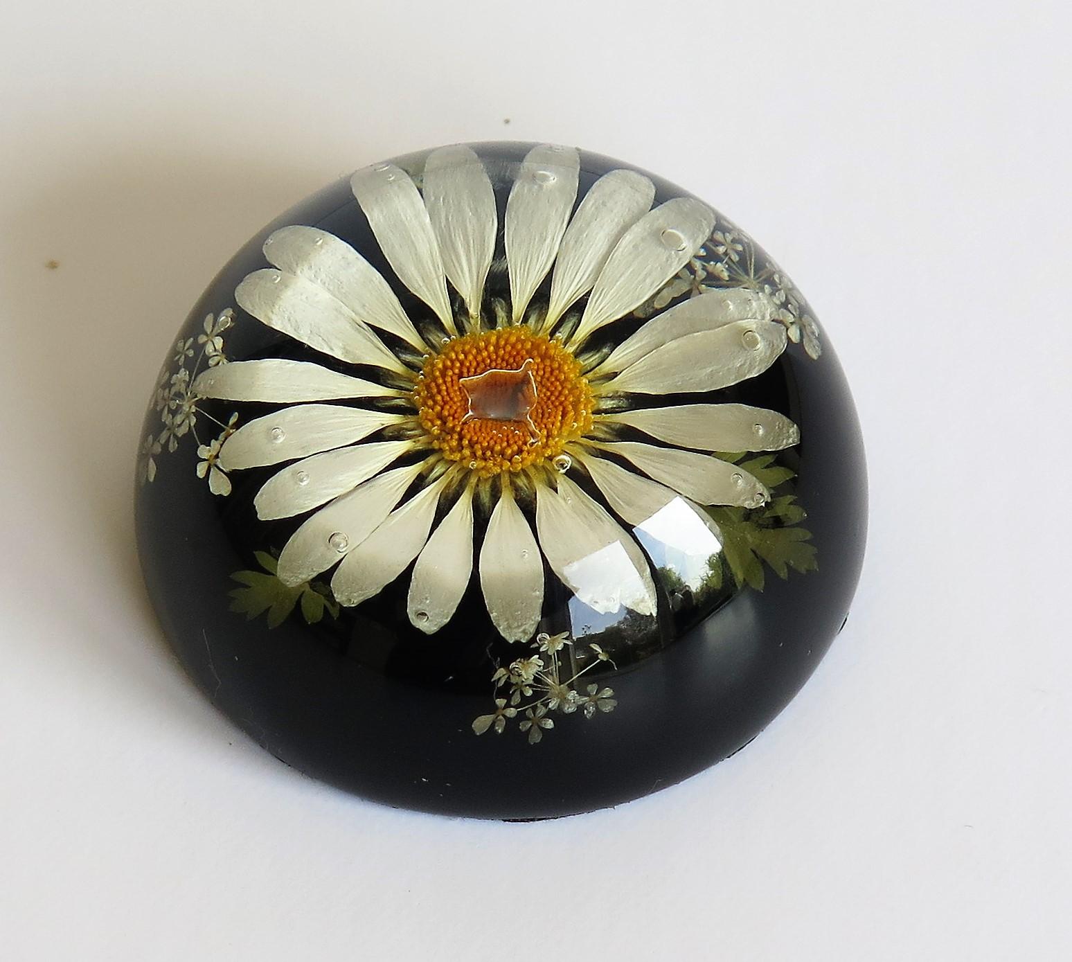 Folk Art Daisy Paperweight Handmade with Real Flowers by Sarah Rogers, English