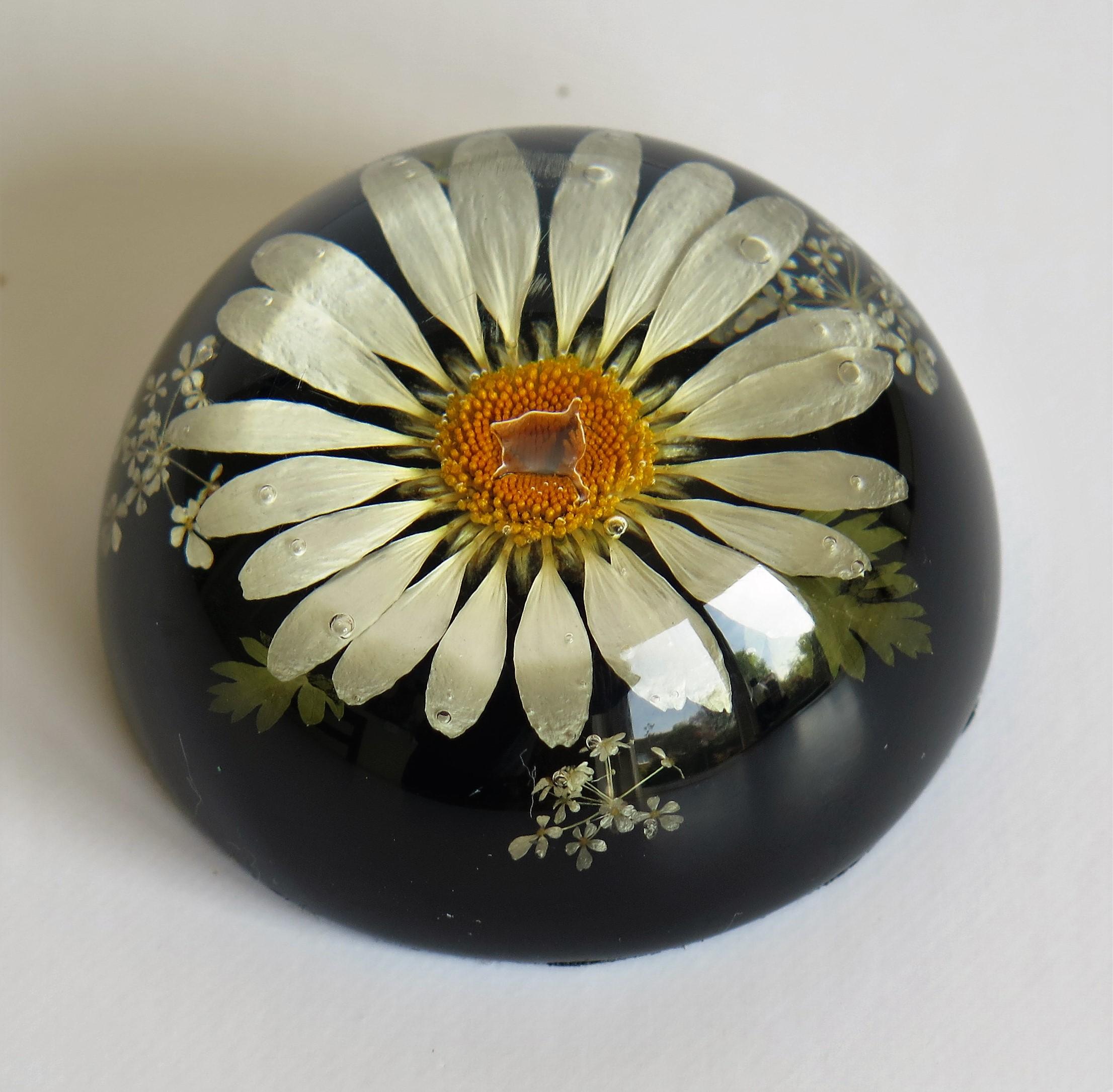 Other Daisy Paperweight Handmade with Real Flowers by Sarah Rogers, English