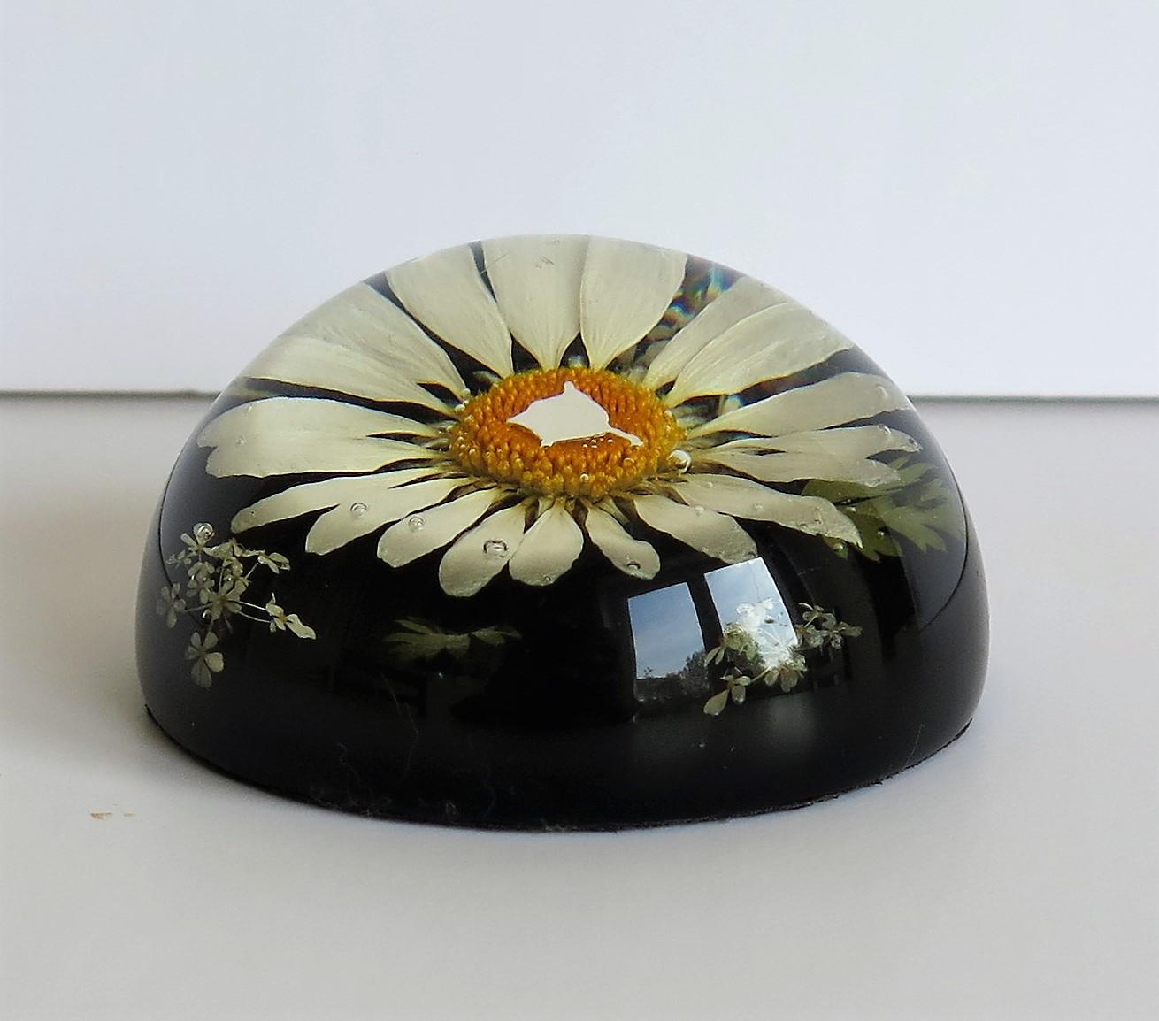 Daisy Paperweight Handmade with Real Flowers by Sarah Rogers, English In Good Condition In Lincoln, Lincolnshire