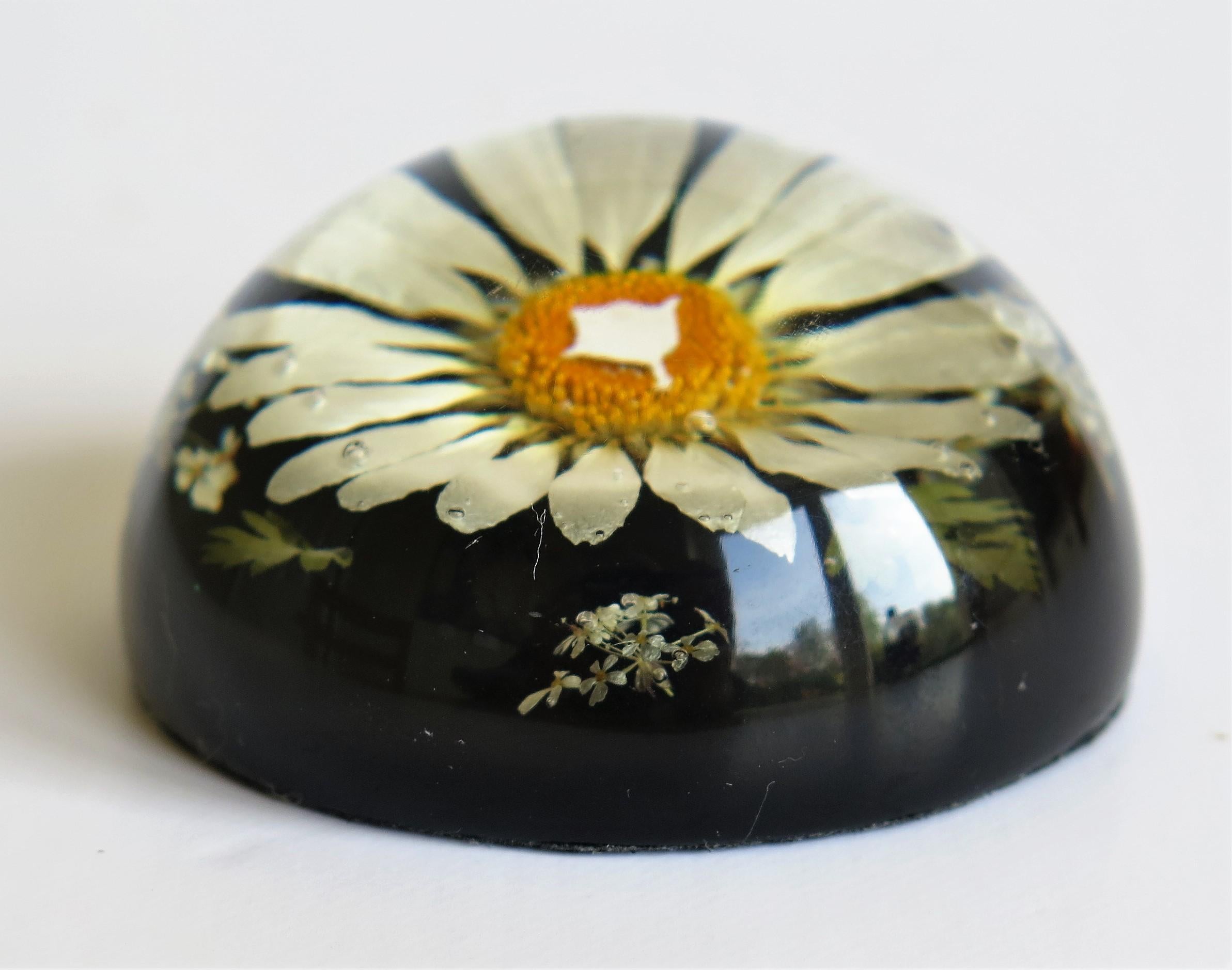 20th Century Daisy Paperweight Handmade with Real Flowers by Sarah Rogers, English