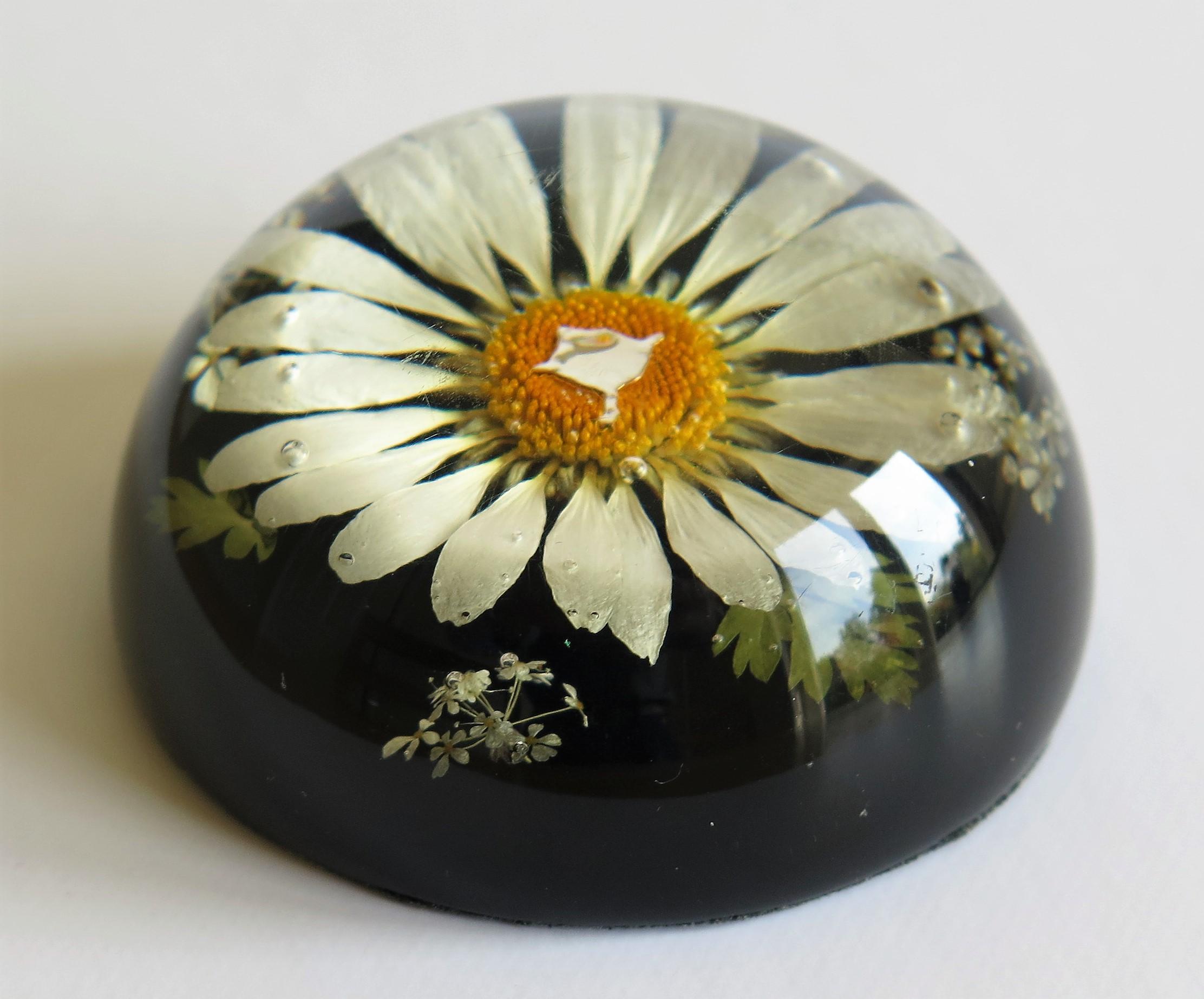 Organic Material Daisy Paperweight Handmade with Real Flowers by Sarah Rogers, English