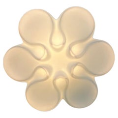 Daisy White Ceramic Glass Wall Lights, Belga, circa 1920s