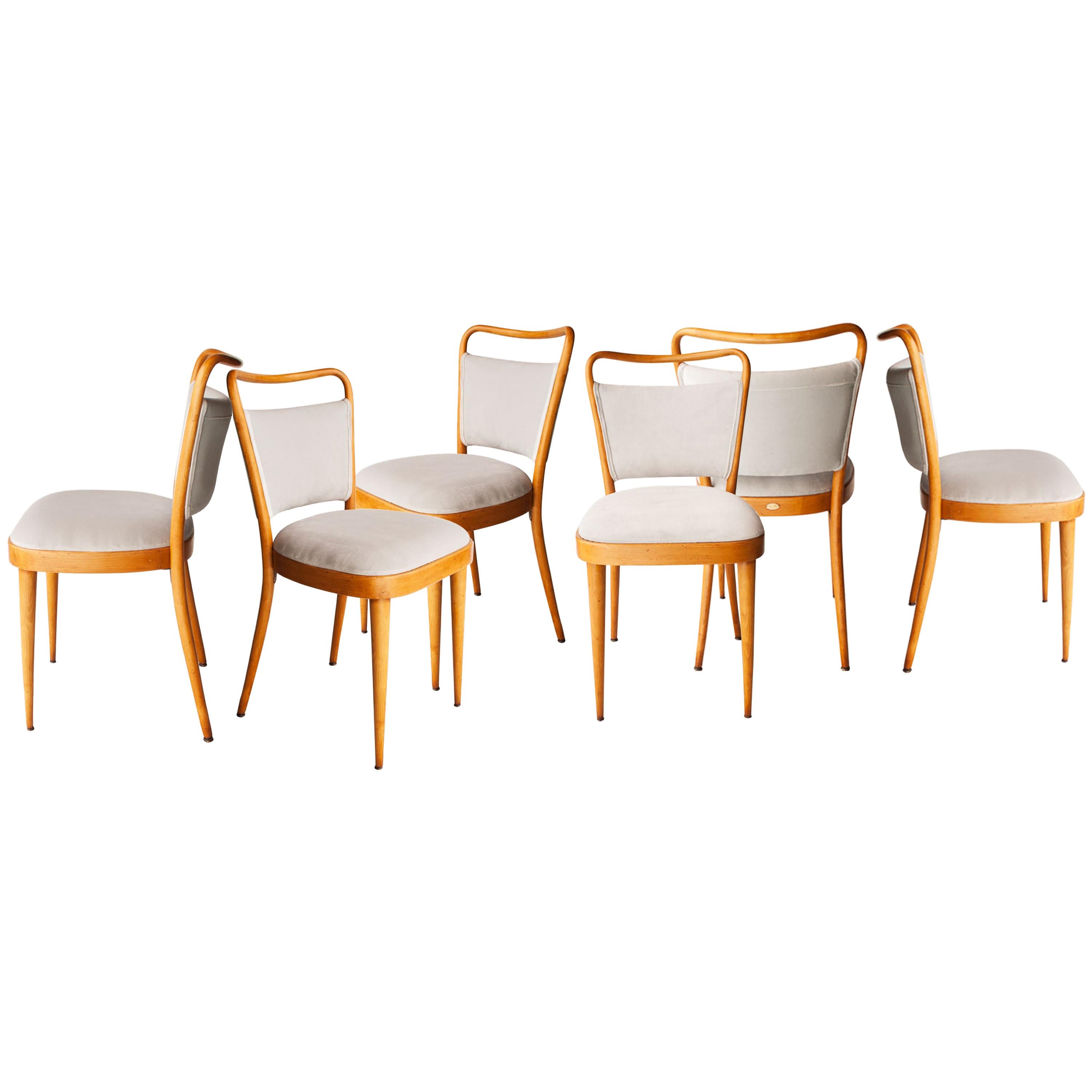 Dal Vera Conegliano Midcentury Grey Oak Set of Six Chairs, Italy, 1950