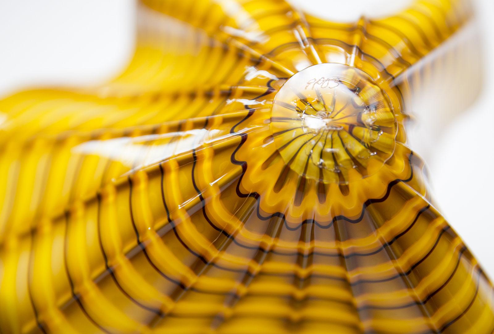 chihuly radiant yellow persian