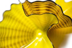 Chihuly Radiant Pair, Signed Glass Sculpture W/Display Case