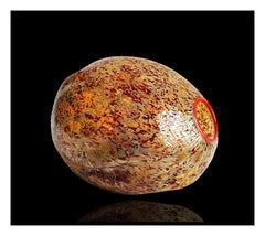 Dale Chihuly ORIGINAL HAND BLOWN Tiger Basket Signed Glass Art Seaform Macchia