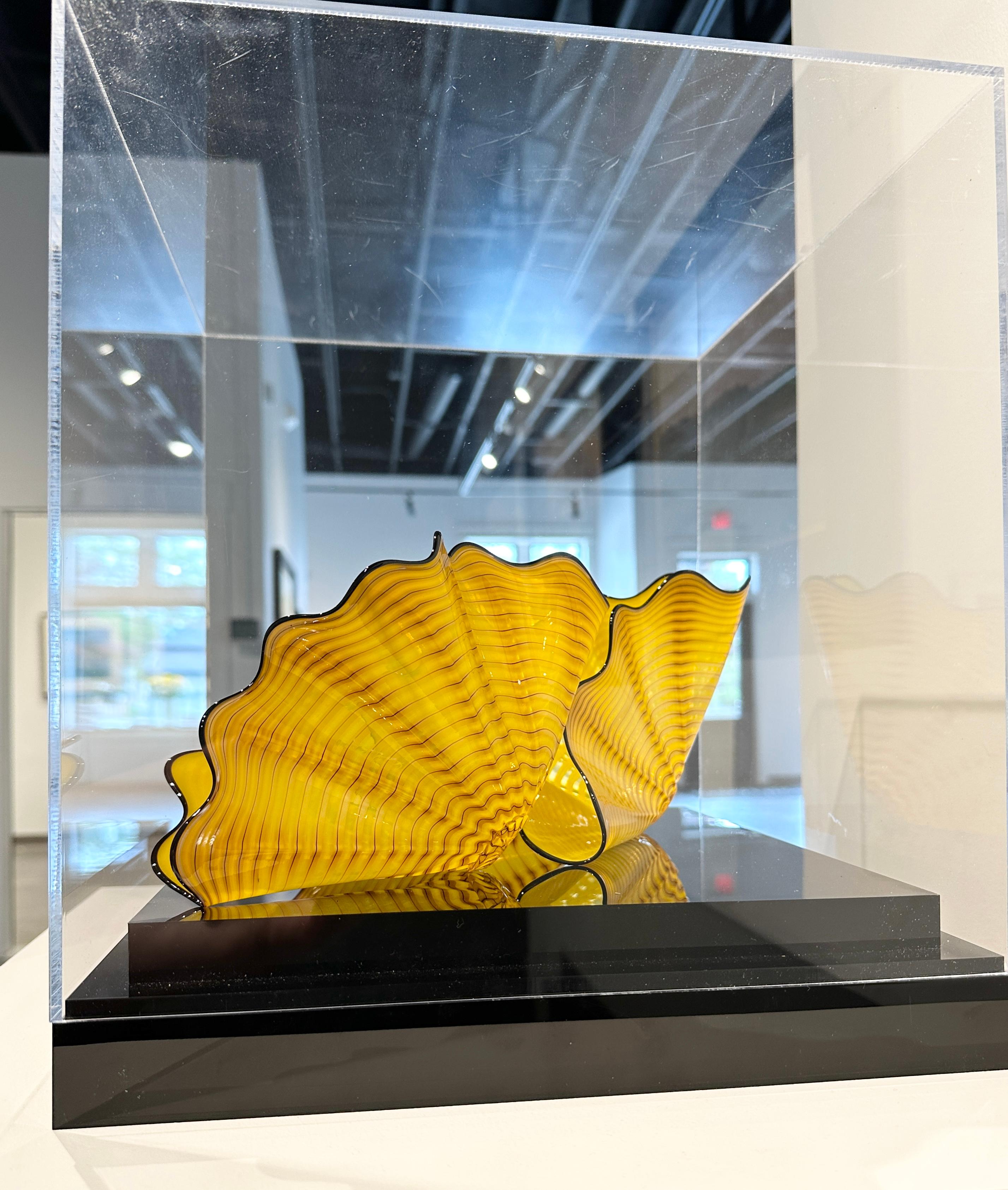 chihuly radiant yellow persian