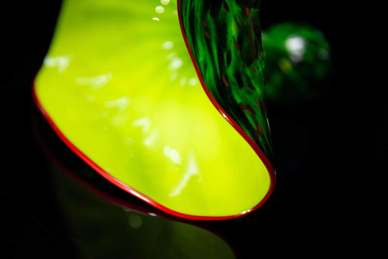 Rare Dale Chihuly Aspen Green Persian Workshop Edition signed For Sale 2