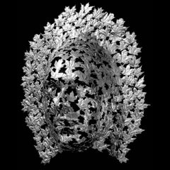 Silver Maple - large, metallic, figurative, aluminum wall sculpture