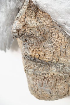 Wings of Perception AP