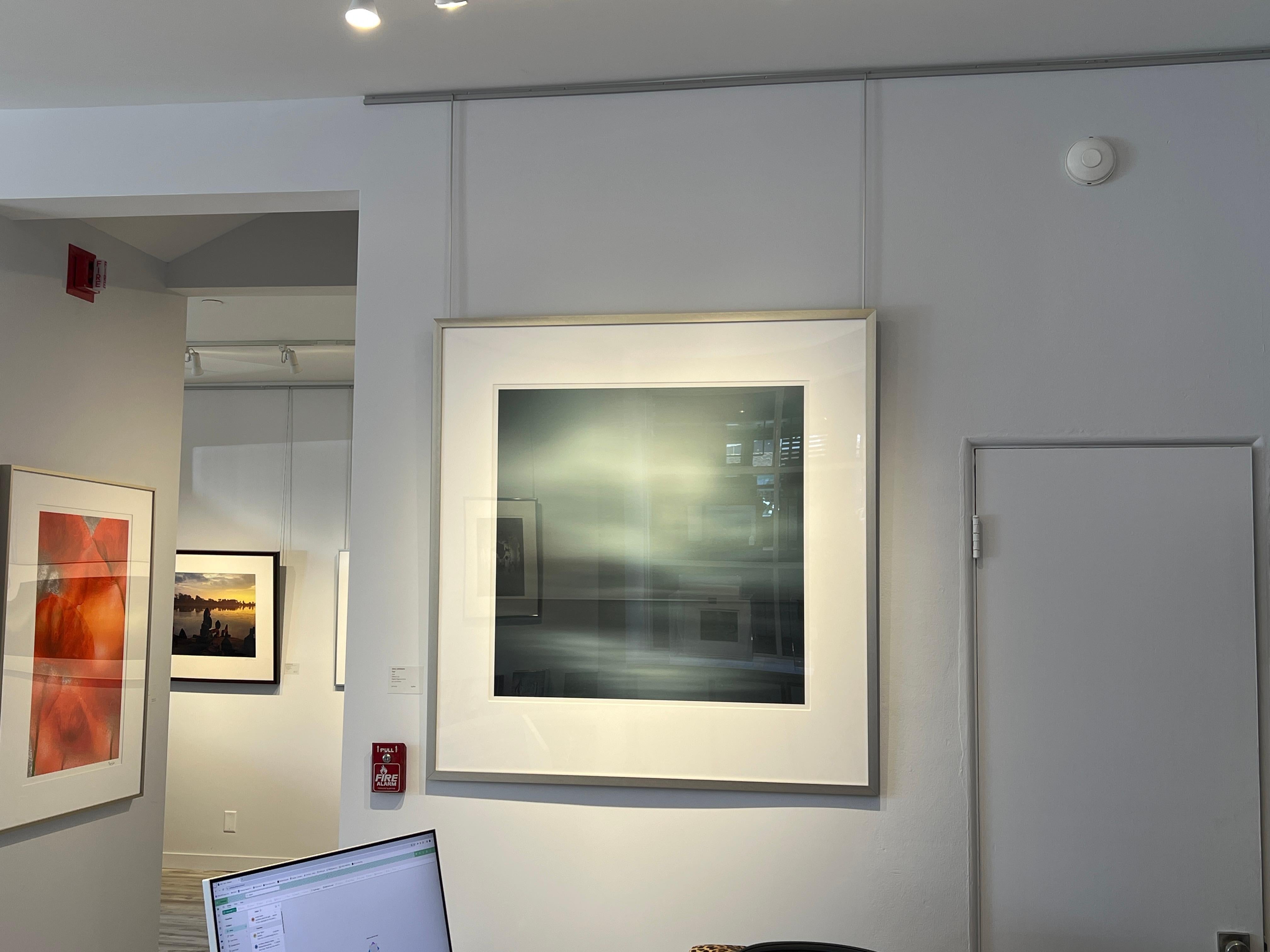 Sarcelle - Photograph de Dale Johnson