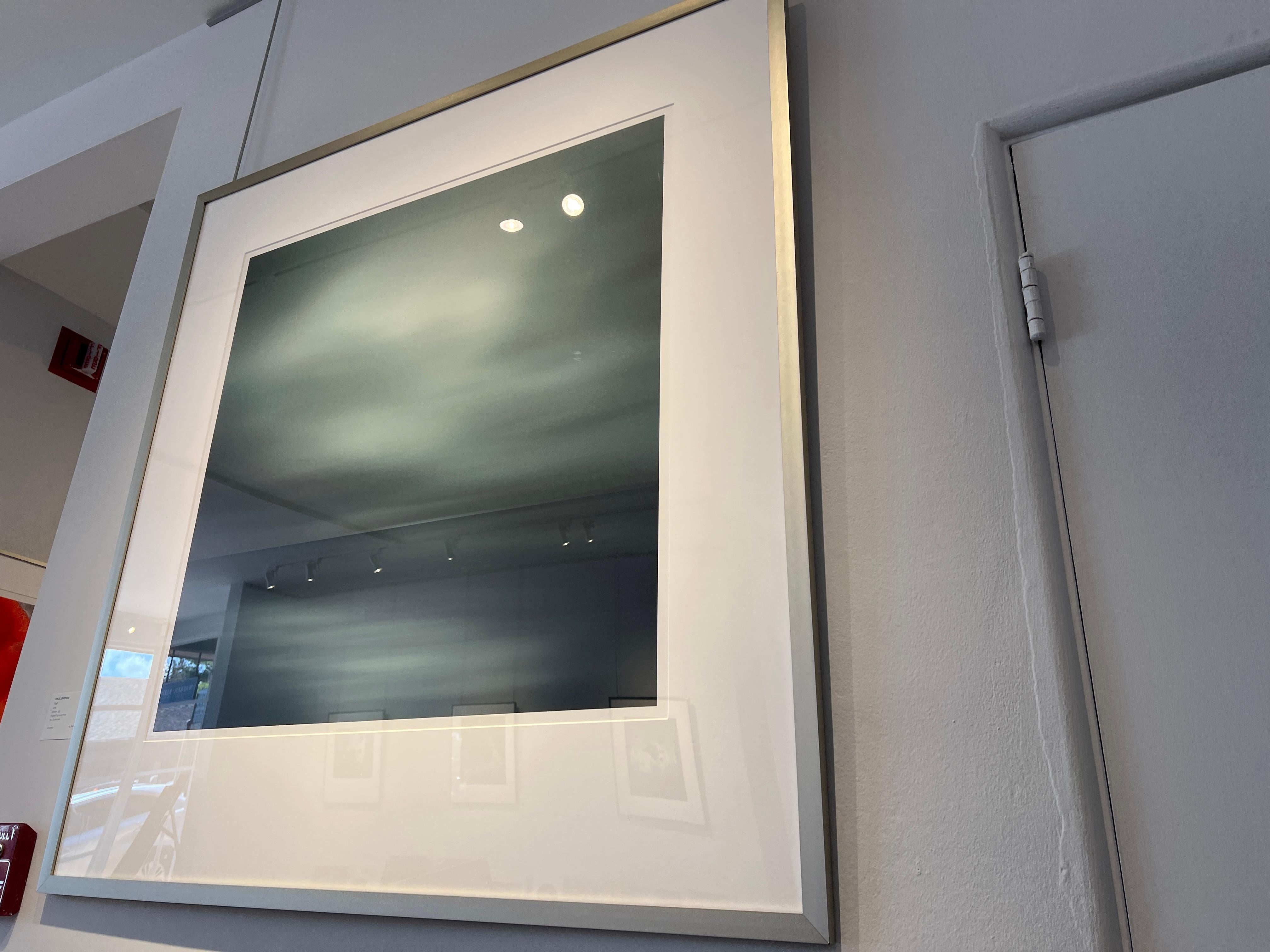 Sarcelle - Gris Color Photograph par Dale Johnson