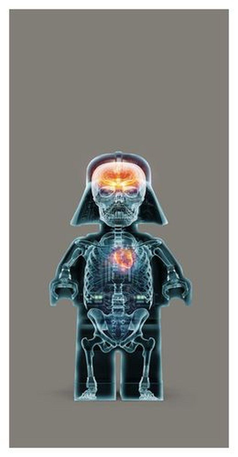 Dale May Lego Star Wars Multimedia Print / Darth Vader For Sale at(00)