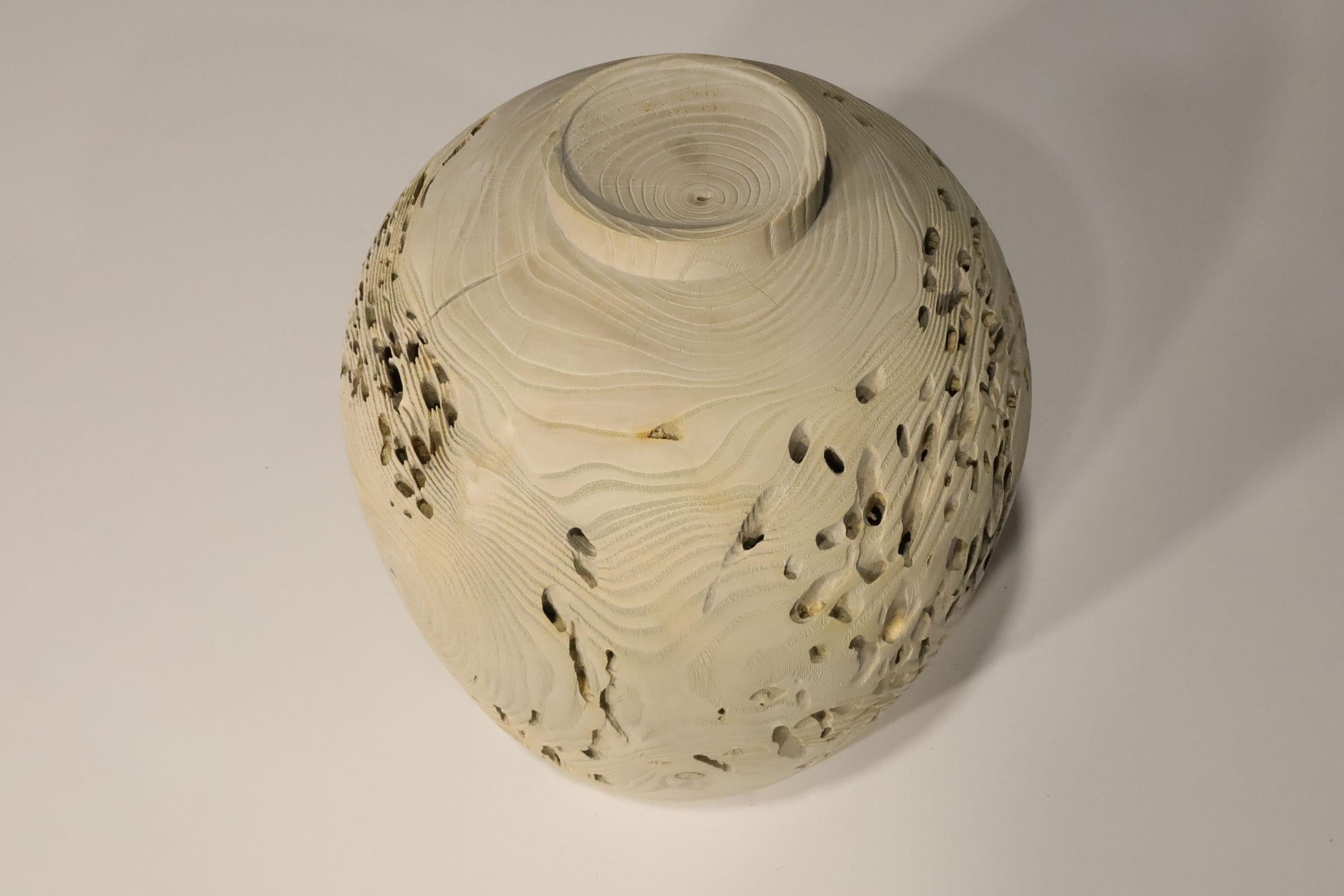 Dale Nish Wormy Ash Footed Vessel 2