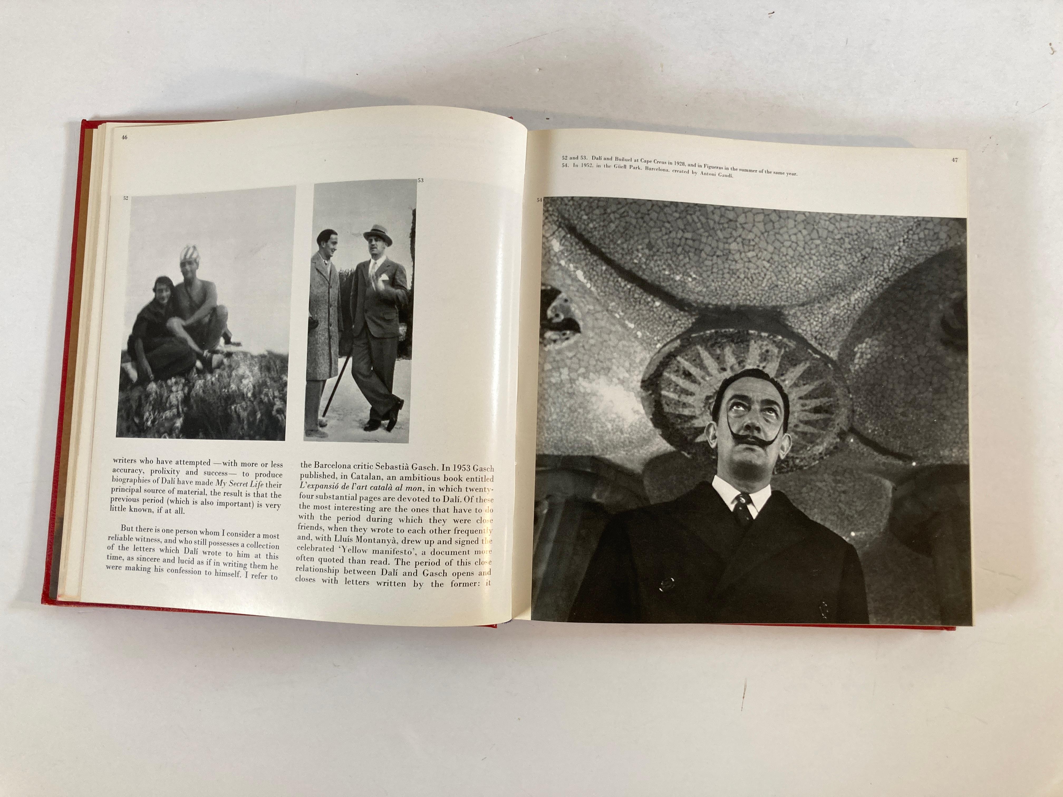 Paper Dali Biography of Salvador Dali by Luis Romero Art Book For Sale