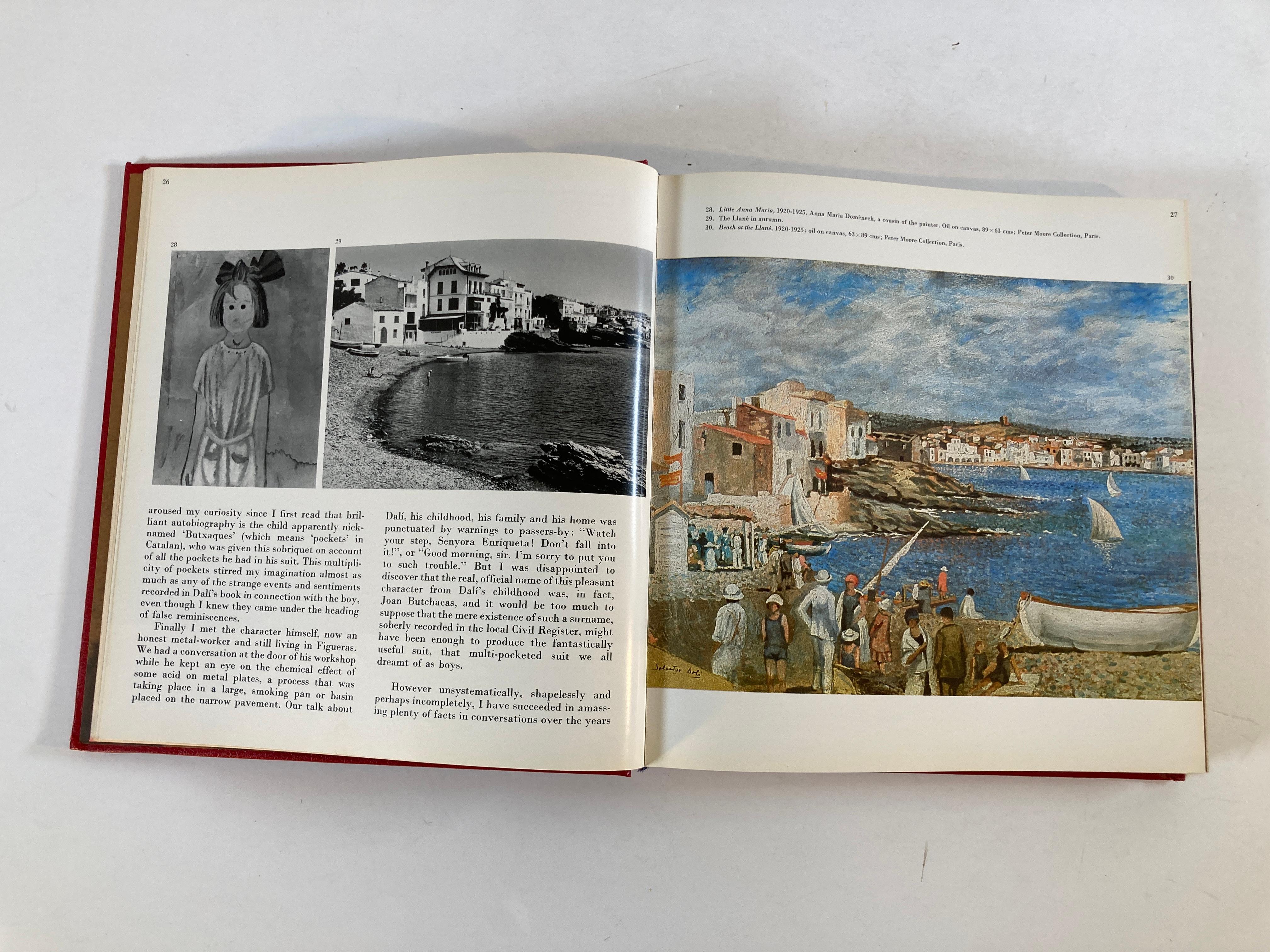 Dali Biography of Salvador Dali by Luis Romero Art Book For Sale 7
