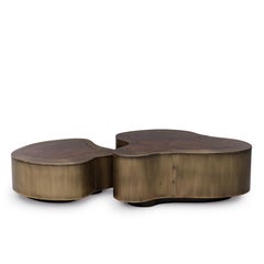 Dalia Antique Brass Walnut Set of 2 Coffee Table