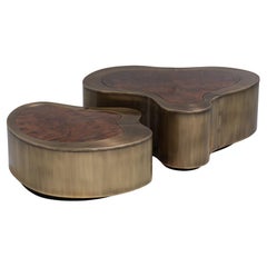 Dalia Antique Brass Walnut Set of 2 Coffee Table