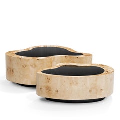 Dalia Poplar Set of 2 Coffee Table