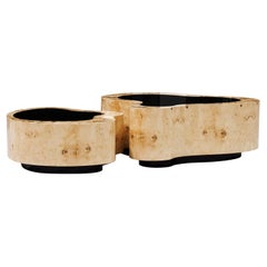 Dalia Poplar Set of 2 Coffee Table