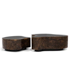 Dalia Walnut Set of 2 Coffee Table