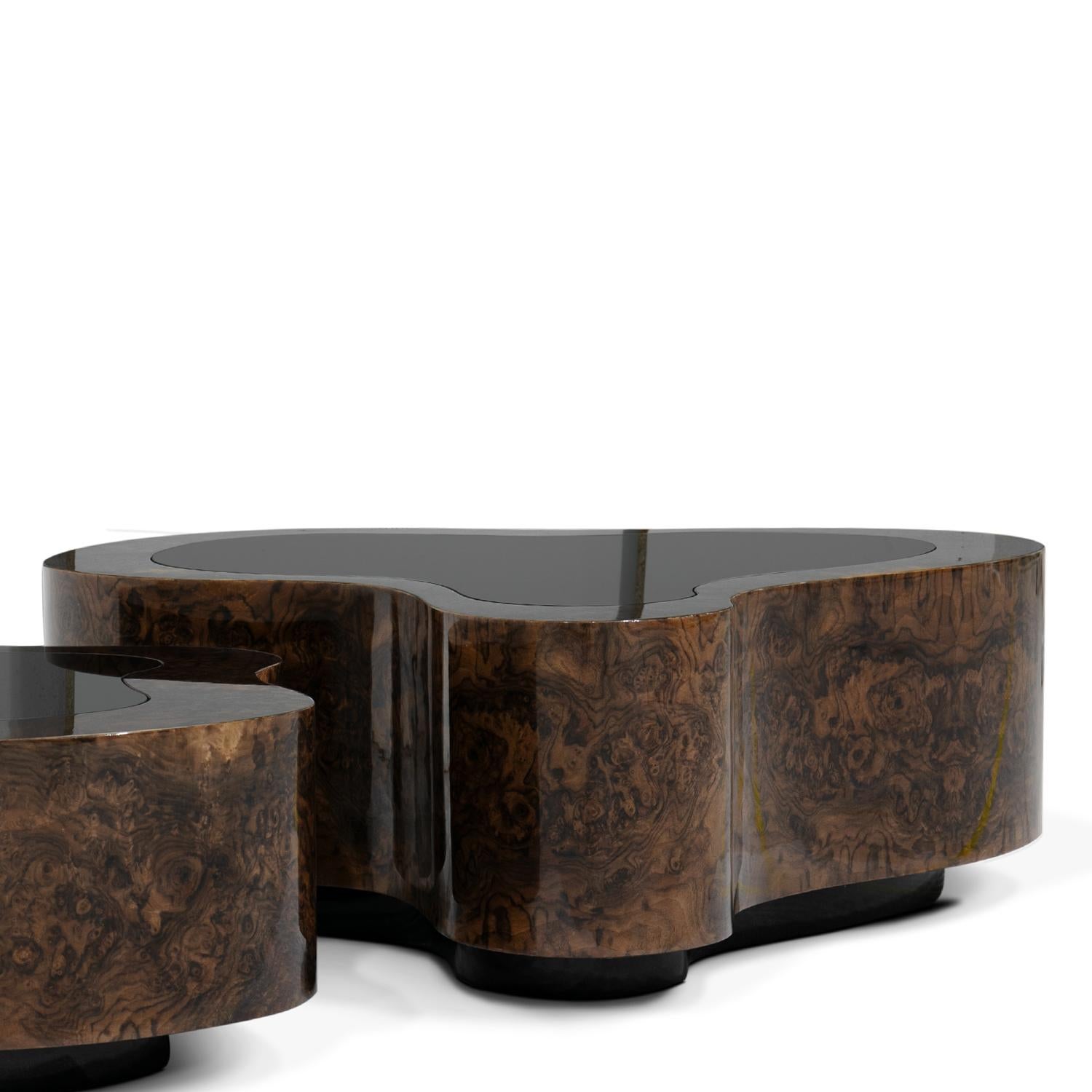 Bois Dalia Walnut Set of 2 Coffee Table en vente