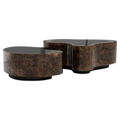 Dalia Walnut Set of 2 Coffee Table