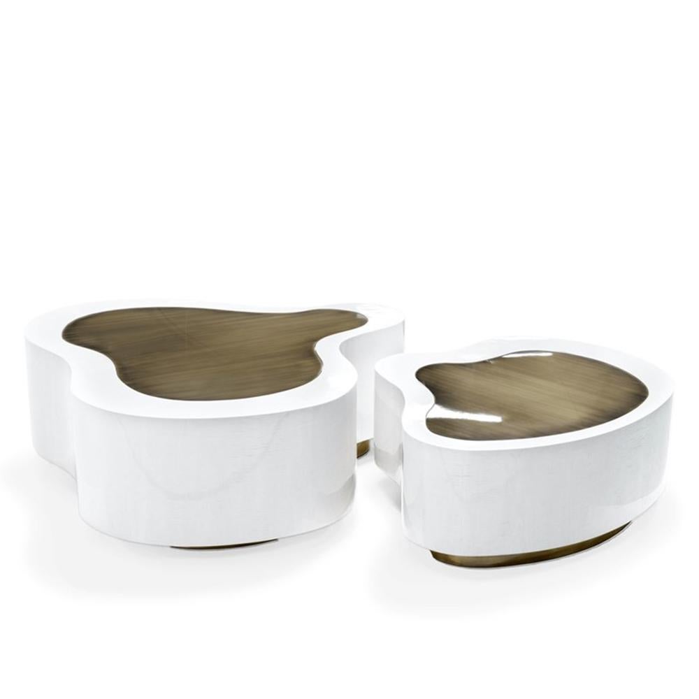Dalia White Brass Set of 2 Coffee Table 2
