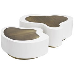 Dalia White Brass Set of 2 Coffee Table