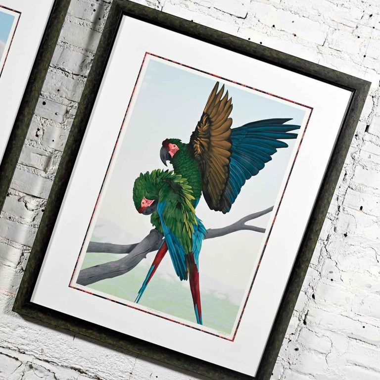 Dallas John Limited Edition Signed Imperial Mates & Military Macaws Serigraph For Sale 2