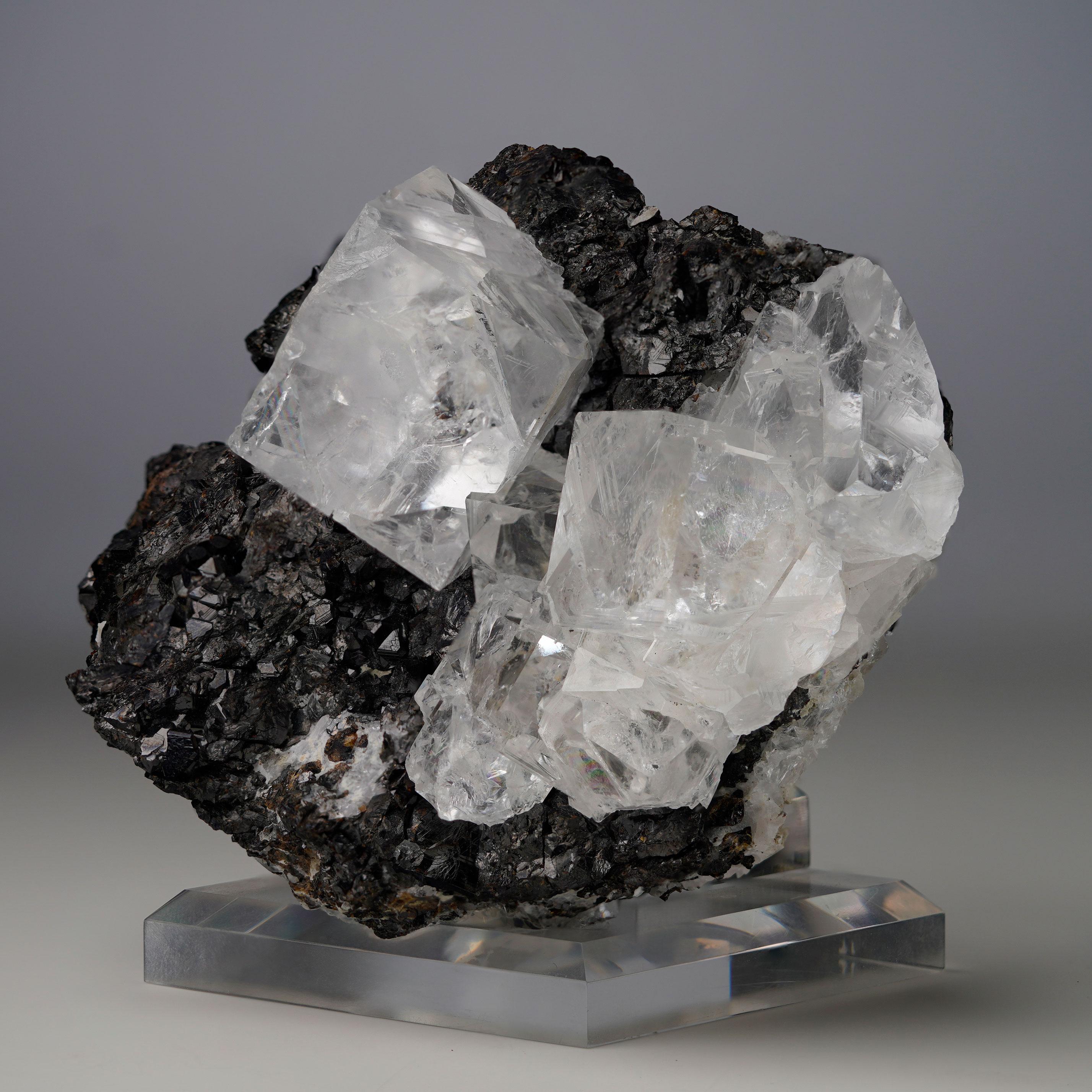 Ces magnifiques cubes de fluorine incolore, transparents comme de l'eau, ne ressemblent à rien de moins qu'à des glaçons lustrés perchés au sommet d'une matrice métallique sombre et vitreuse contrastant avec les autres. Cette pièce provient de la