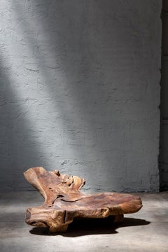 Chaise sculpture organique Damai en bois de teck antique par CEU Studio, Indoor - Outdoor