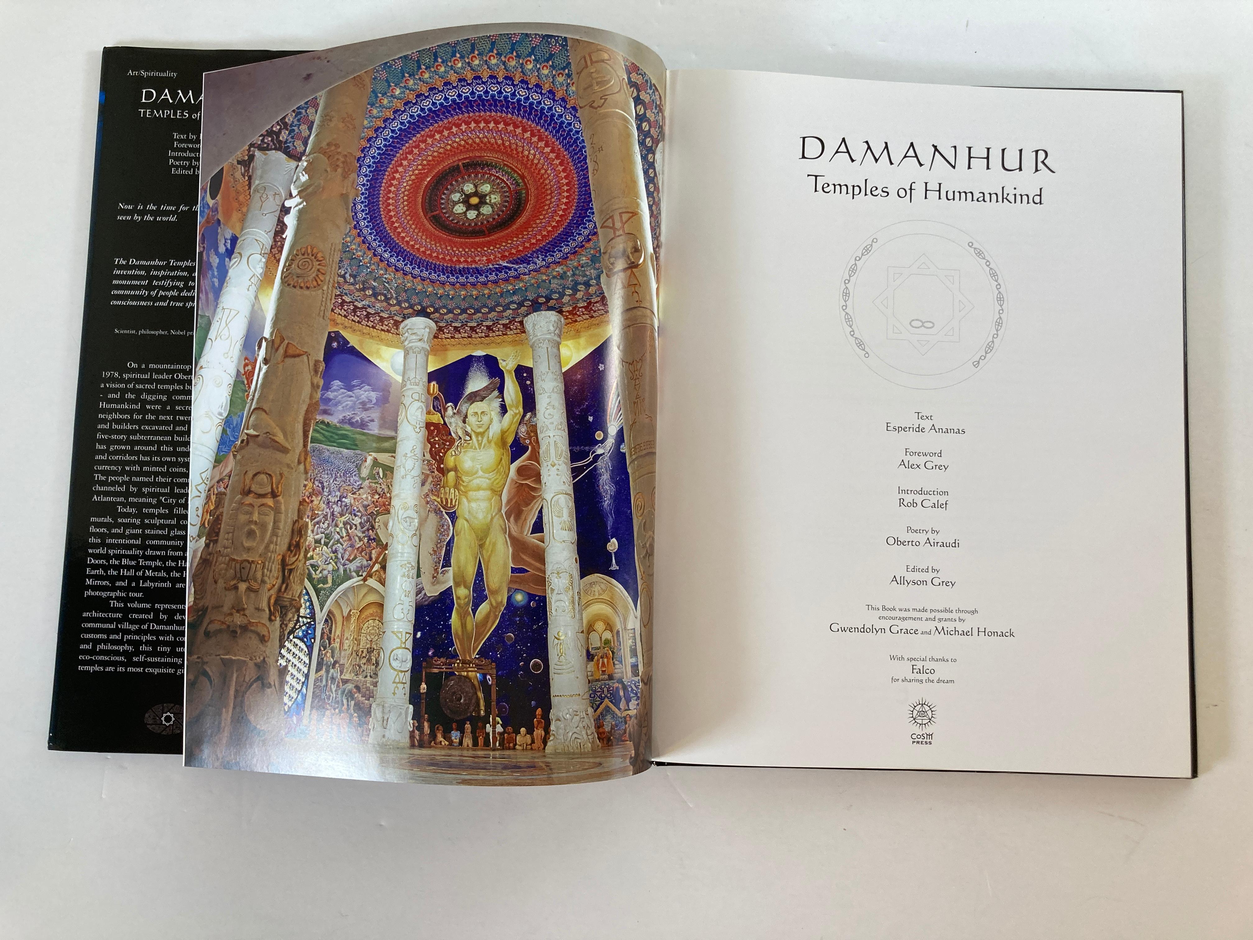 Italian Damanhur Temples of Humankind Book by Ananas Esperide Coffee Table Art Book