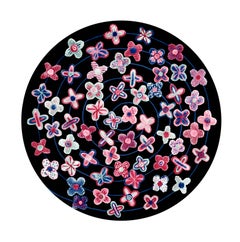 Dame Zandra Rhodes Energy Garden Daisies 6.5 x 6.5 ft hand-tufted rug